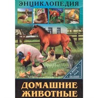 Книга Энциклопедия В Мире знаний 978-5-378-27606-6 Домашние животные