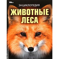 Книга Умка 9785506091080 Животные леса. Энциклопедия