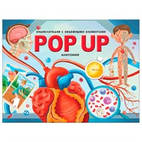 Книга 9785001345541 POP UP энциклопедия. Анатомия: книжка-панорамка