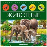 Книга 9785001347965 Энциклопедия открытий. Животные