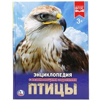Книга Умка 978-5-506-02284-8 Энциклопедия.Птицы.А4