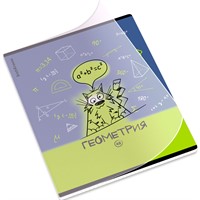 Тетрадь 48 л. клетка Котоформулы, Геометрия 62531 ErichKrause