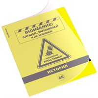 Тетрадь 48 л. клетка Be Informed, История 59488 ErichKrause