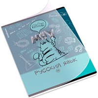 Тетрадь 48 л. линейка Котоформулы, Русский язык 59697 ErichKrause