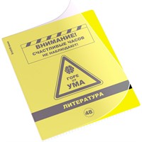 Тетрадь 48 л. линейка Be Informed, Литература 59481 ErichKrause