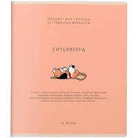 Тетрадь 48 л. Линия Ми-ни-Ми Литература 022464