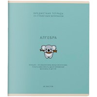Тетрадь 48 л. клетка Ми-ни-Ми Алгебра 022570