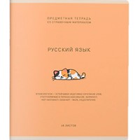 Тетрадь 48 л. Линия Ми-ни-Ми Русский язык 022471