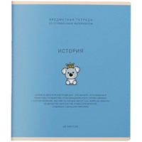 Тетрадь 48 л. клетка Ми-ни-Ми История 022501