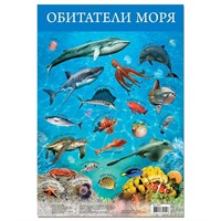 Плакат Обитатели моря 3410