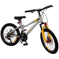 Велосипед двухколесный 20" WILLPOWER серый,  FG240528073L-3