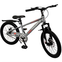 Велосипед двухколесный 20" WILLPOWER светло - серый FG240528004L-2