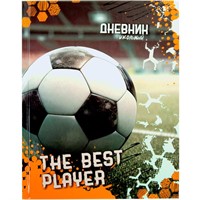 Дневник для 1-4 кл. 48л Футбол ЮНЛАНДИЯ 106826.