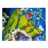 Набор для творчества Алмазная мозаика Попугай 40*50см частичная выкладка 87221