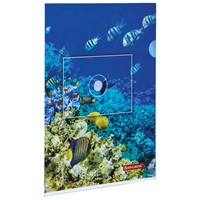 Папка уголок А4 SEA WORLD 228042 BRAUBERG