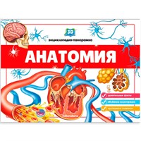 Книга 9785001345404 3D энциклопедия панорама. Анатомия от 26.07.2022
