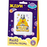 Набор для творчества Мыло своими руками "Жду чистоты!" 05782