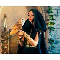 Набор для творчества Алмазная мозаика 30х40 см Девушка с совой НД-8573