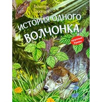 Книга 978-5-00132-401-0 История одного волчонка. Рассказ