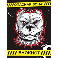 Блокнот 467-0-159-20972-0 БЛОКНОТ ПАЦАНА. Чёрный