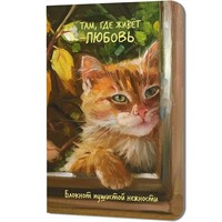 Блокнот пушистой нежности Там, где живет любовь. Кот в окне 30 л 978-5-00241-359-1