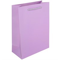 Пакет 18*8.5*24 см цвета в ассорт. 141V-1002