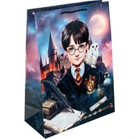 Пакет Чудо праздник матовый xl Школа волшебства PXL-130219-HP