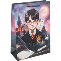 Пакет Чудо праздник матовый ml Школа волшебства PML-130217-HP