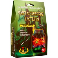 Набор для опытов Фантастические растения 507