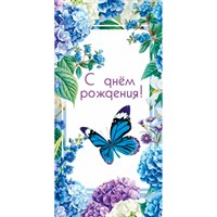 Конверт для денег С днем рождения 7.0000499