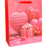 Пакет 26х10х32см FG250705003C