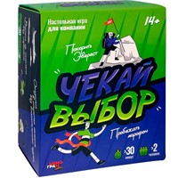 Игра «чекай выбор» МГ023-1