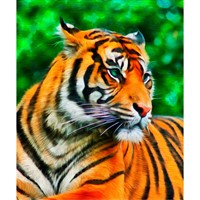 Набор для творчества Роспись по холсту 17х22 см Непредсказуемый тигр Х-3892