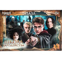 Пазл 260 Школа чародейства 4630395011655