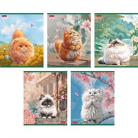 Тетрадь 48 л. клетка Пухляши 48Т5лВ1 Hatber