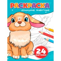 Раскраска 978-5-378-35178-7 ДОМАШНИЕ ЖИВОТНЫЕ