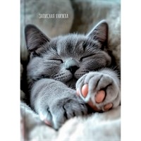 Записная книжка 160 л. А6 Милые котики - 9 ЗК160-0085