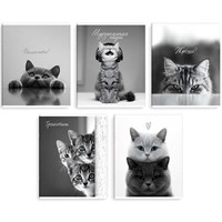 Тетрадь 48 л. клетка Монохромные коты 70920