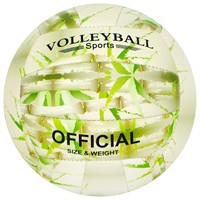 Мяч Волейбол №5 280 гр. 141V-833
