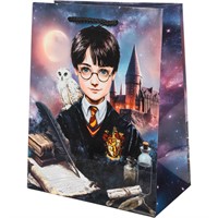 Пакет Чудо праздник глянцевый м Школа волшебства PM-130551-HP