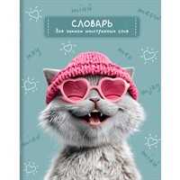 Тетрадь для записи иностранных слов Лова-лова кот 69991