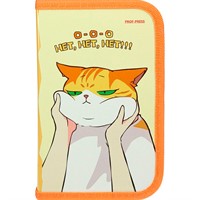 Пенал 1-секц, большой с отк.планкой НЕДОВОЛЬНЫЙ КОТ 190х115 ПН-2065