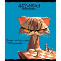 Тетрадь 48 л. клетка МАТЕМАТИКА «ПРО ХВОСТ» 48-2480