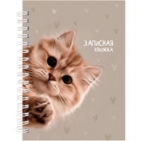 Записная книжка 80 л. А6 Забавный котик - 3 80-9512