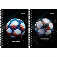 Записная книжка 120 л. А6 Разные футбольные мячи - 15 ЗК120-3026