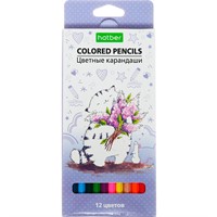 Карандаши цветные 12 цв. ECO Приключения кота Пирожка CS_066356 Hatber