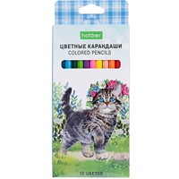 Карандаши цветные 12 цв. ECO Котики бывают разными CS_084399 Hatber