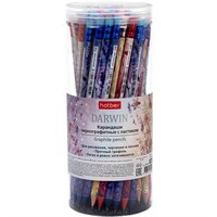 Карандаш ч/гр Darwin "HB" с ластиком 093398