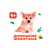 Книга на пене 978-5-378-28831-1 Домашние животные