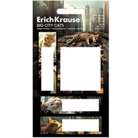 Клейкие закладки пластиковые Big City Cats 80 листов 63794 ErichKrause